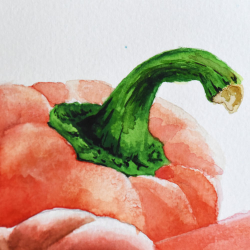 Akvarel "Červená paprika" — foto 4
