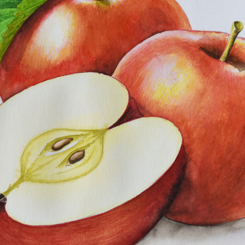Akvarel "Malus" — foto 3