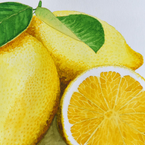 Akvarel "Lemons" — foto 3