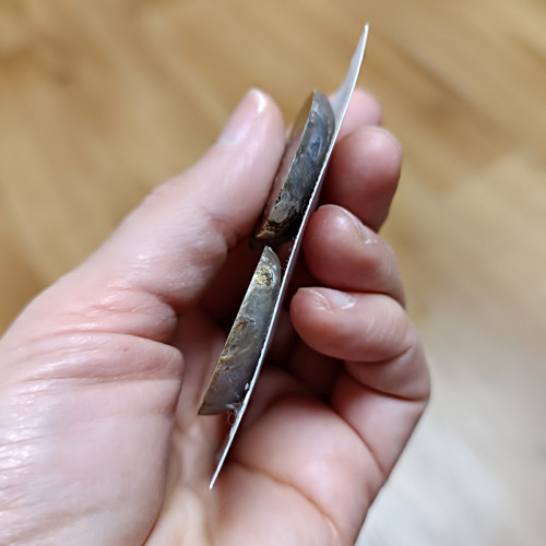 Amonit (pár), ID 3635, 36x29 mm — foto 3