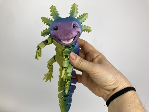 Axolotl L - duhová2, 3D tisk — foto 2