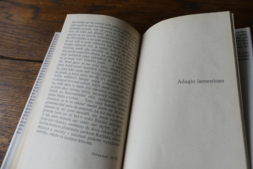Příliš hlučná samoty, Bohumil Hrabal — foto 2