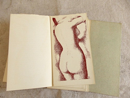 Portugalské listy — foto 4