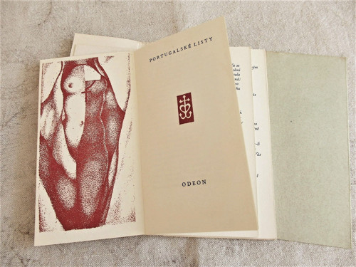 Portugalské listy — foto 2