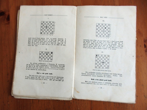 Hra v šachy — foto 5