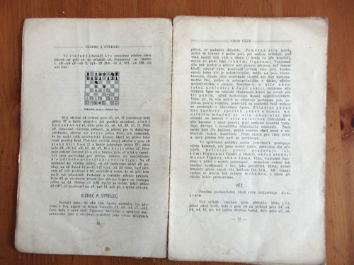 Hra v šachy — foto 3