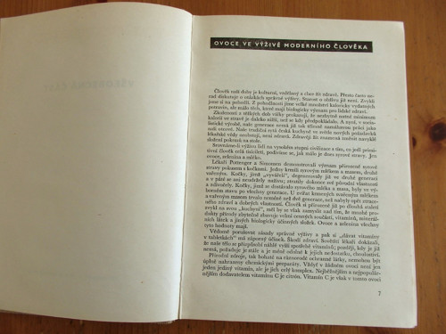 Ovocné pochoutky — foto 2