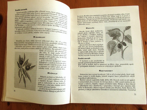 Ovocné pochoutky — foto 3