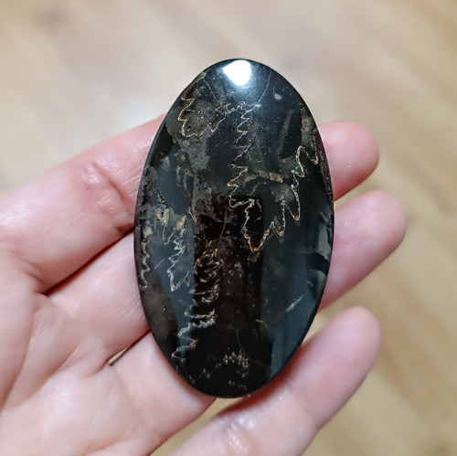 Amonitový Simbircite/Simbircit, ID 3682, 61x36 mm — foto 2