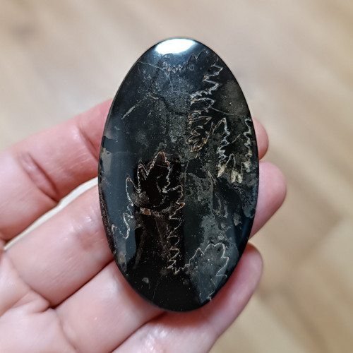 Amonitový Simbircite/Simbircit, ID 3682, 61x36 mm — foto 4