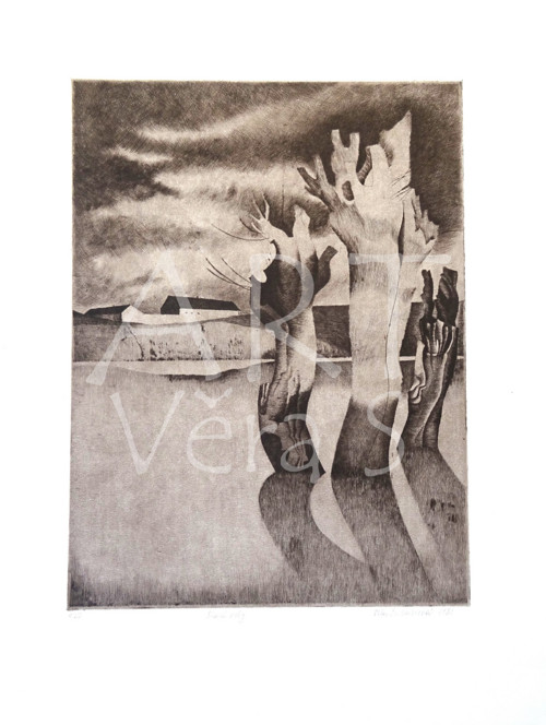 Staré vrby — foto 2