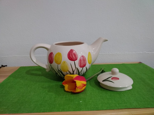 Tulipánové probuzení — foto 3