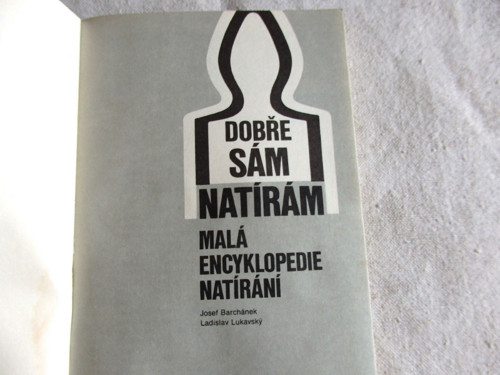 Dobře sám natírám — foto 2