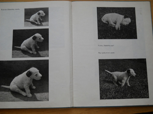 DÁŚEŇKA - napsal Karel Čapek — foto 5