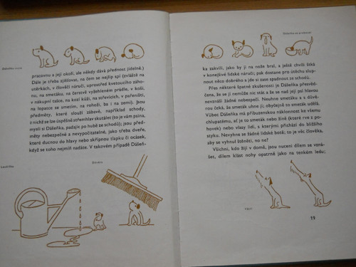 DÁŚEŇKA - napsal Karel Čapek — foto 3