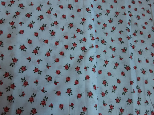 Červené růžičky — foto 4