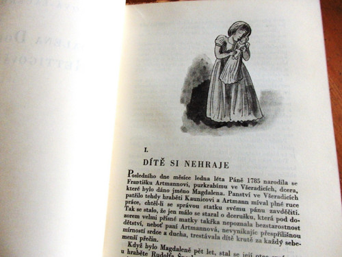 Magdalena Dobromila Rettigová — foto 2
