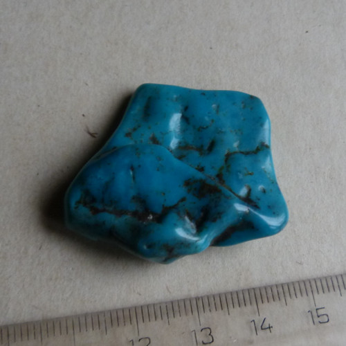Tyrkys pravý - 4,1 cm — foto 5