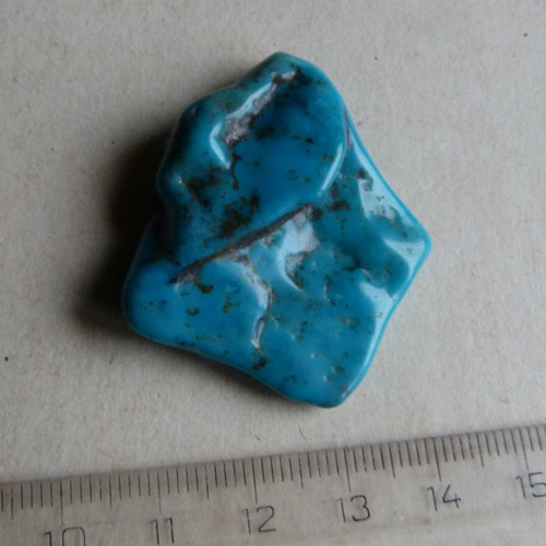 Tyrkys pravý - 4,1 cm — foto 3