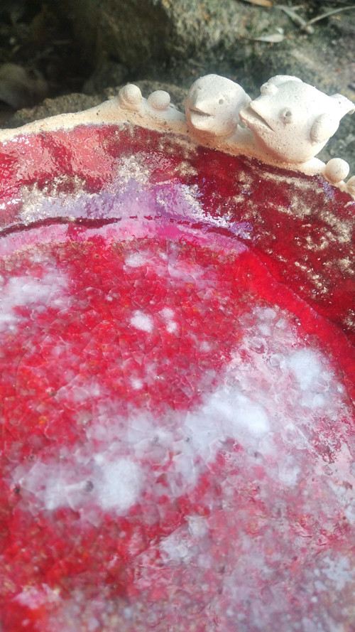 Keramické pítko pro ptáky — foto 3