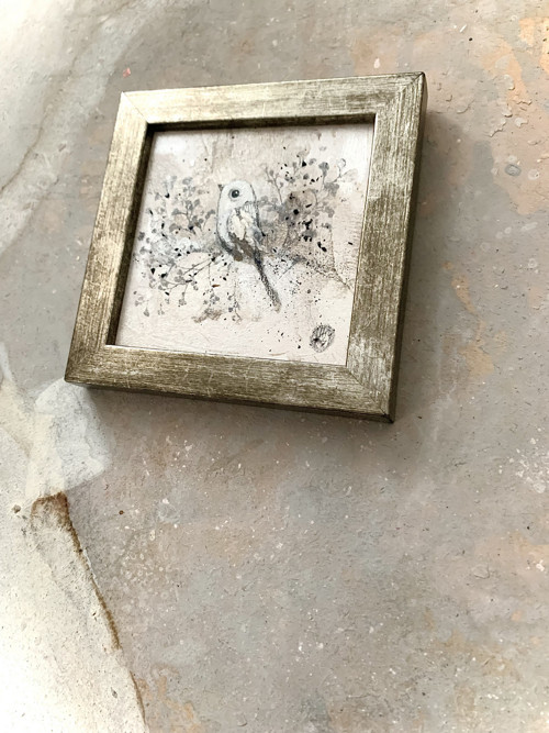 TICHO — foto 2