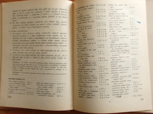Pravidla českého pravopisu — foto 3