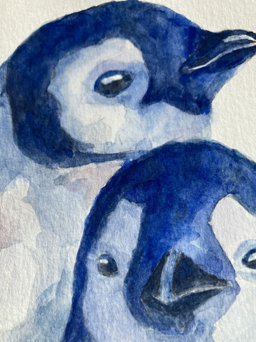 " Penguins " + rámeček — foto 5