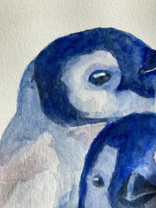 " Penguins " + rámeček — foto 2