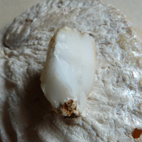 Opál surový - Smrček ČR - 3,3 cm — foto 6