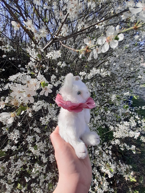 Králík s kytičkou bílý — foto 5