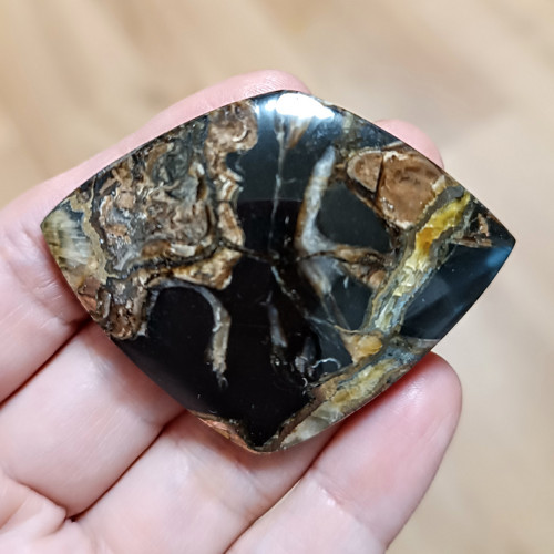 Amonitový Simbircite/Simbircit, ID 3755, 57x44 mm — foto 2