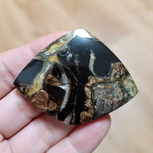 Amonitový Simbircite/Simbircit, ID 3755, 57x44 mm — foto 3