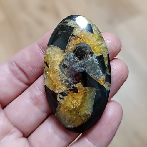 Amonitový Simbircite/Simbircit, ID 3748, 54x31 mm — foto 2