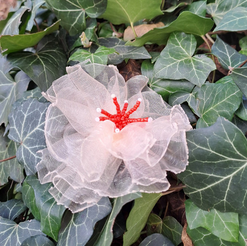 Brož No. 97 — foto 4