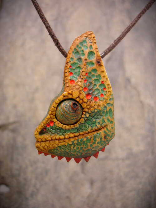 Chameleon okáč — foto 5
