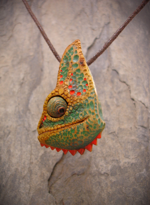 Chameleon okáč — foto 6