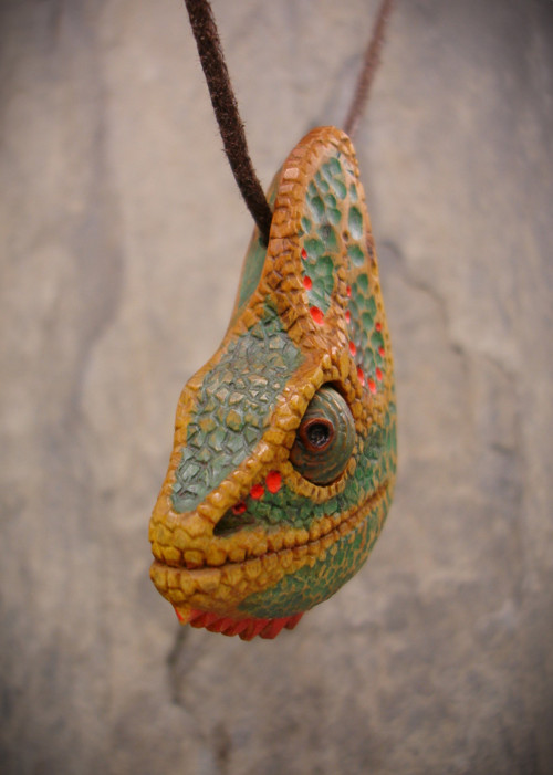 Chameleon okáč — foto 4