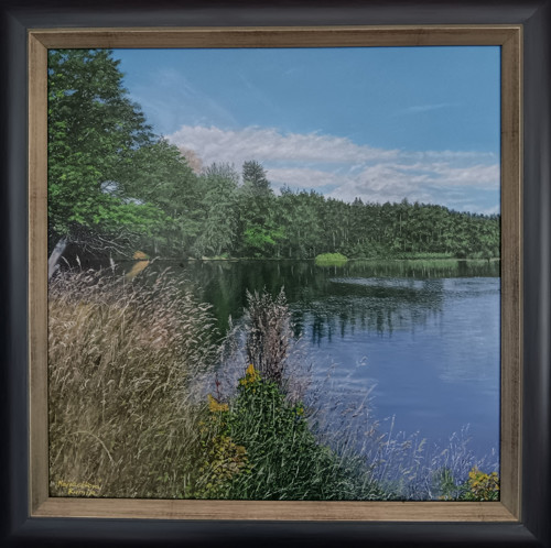 Rybník Plánský — foto 2