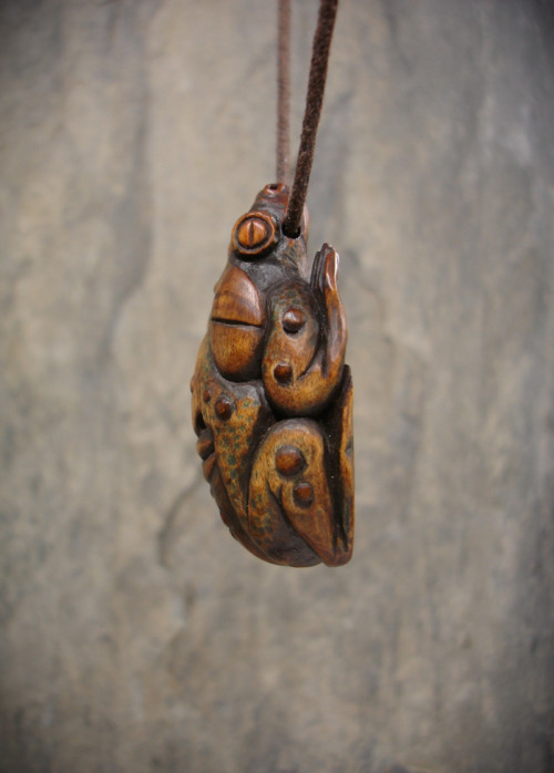 Bufo Alvarius — foto 6