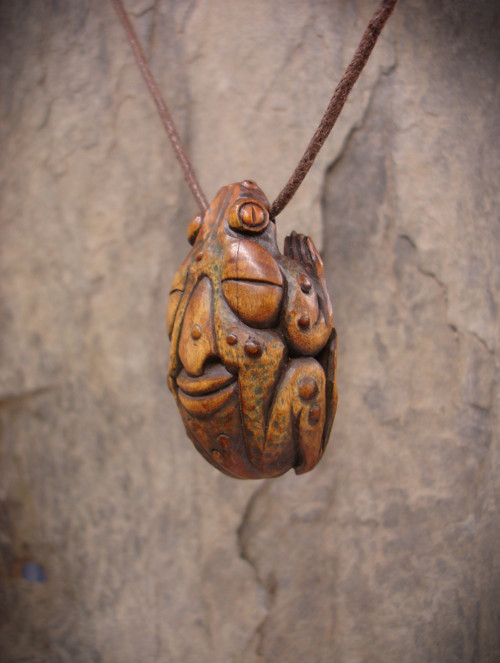 Bufo Alvarius — foto 4