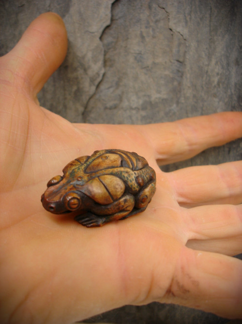 Bufo Alvarius — foto 2
