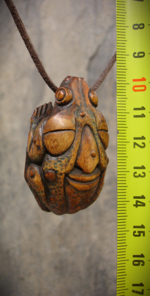 Bufo Alvarius — foto 3