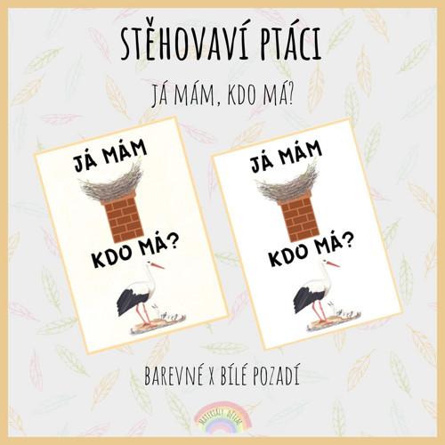 Já mám, kdo má? Stěhovaví ptáci — foto 3