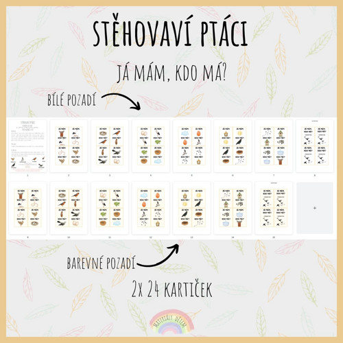 Já mám, kdo má? Stěhovaví ptáci — foto 2