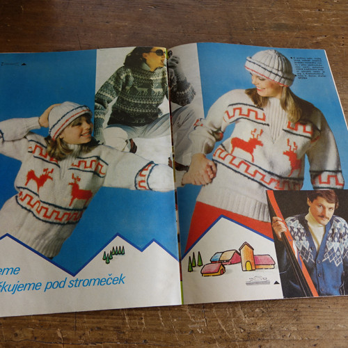 Praktická žena ... 11/1980 — foto 4