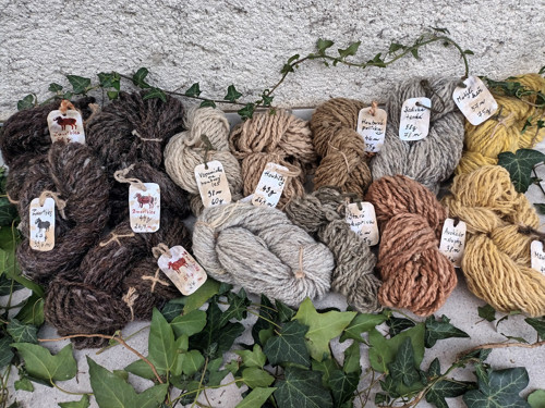 Motýlí keř — foto 2