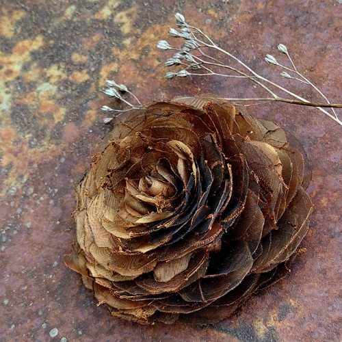 Rose - rust — foto 2