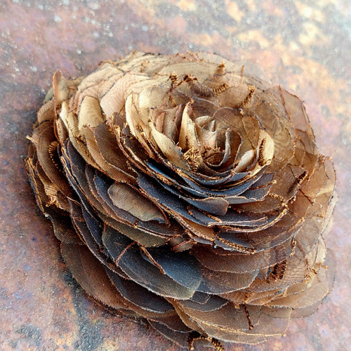Rose - rust — foto 3