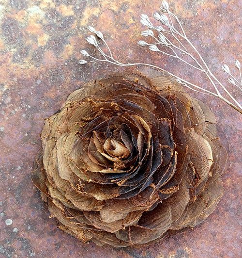 Rose - rust — foto 4
