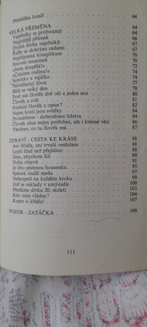 Děvčátka na slovíčko... — foto 4